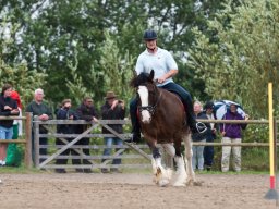 DSC_1989_web